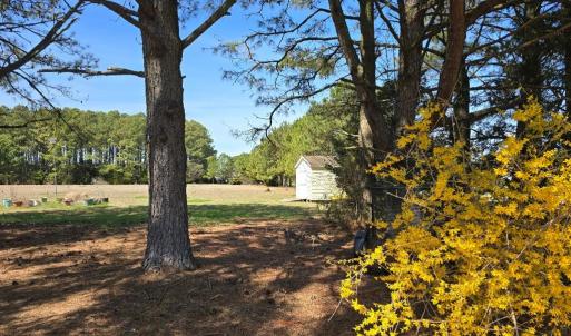 Photo #8 of 19006 NORTH DR, PARKSLEY, VA 3.1 acres