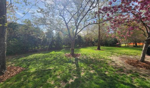 Photo #32 of 201 ARNIE'S LOOP, CAPE CHARLES, VA 0.4 acres