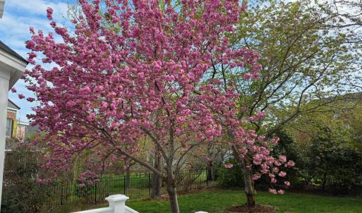 Photo #33 of 201 ARNIE'S LOOP, CAPE CHARLES, VA 0.4 acres