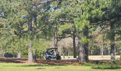 Photo #42 of 201 ARNIE'S LOOP, CAPE CHARLES, VA 0.4 acres