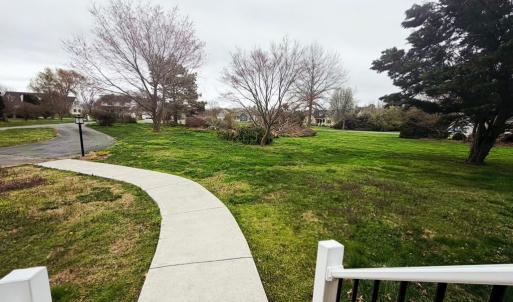 Photo #2 of 10156 PINEVIEW RD, ATLANTIC, VA 3.3 acres