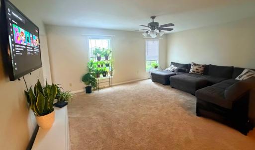 Photo #8 of 10156 PINEVIEW RD, ATLANTIC, VA 3.3 acres