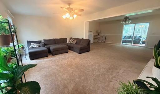 Photo #9 of 10156 PINEVIEW RD, ATLANTIC, VA 3.3 acres