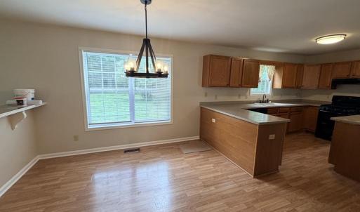 Photo #10 of 10156 PINEVIEW RD, ATLANTIC, VA 3.3 acres