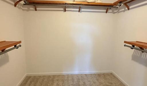 Photo #20 of 10156 PINEVIEW RD, ATLANTIC, VA 3.3 acres