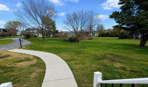 Photo #3 of 10156 PINEVIEW RD, ATLANTIC, VA 3.3 acres