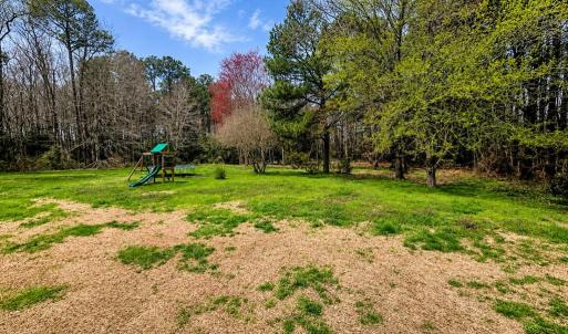 Photo #4 of 10156 PINEVIEW RD, ATLANTIC, VA 3.3 acres