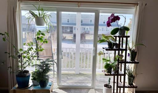 Photo #28 of 7516 DOE BAY LANE, CHINCOTEAGUE, VA 0.2 acres