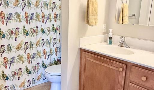 Photo #58 of 7516 DOE BAY LANE, CHINCOTEAGUE, VA 0.2 acres