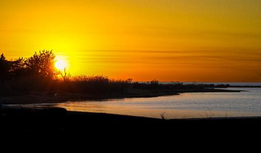 Photo #54 of 24227 THICKET POINT LANE, ONANCOCK, VA 45.0 acres