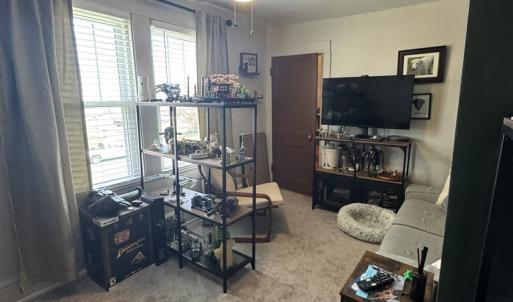 Photo #19 of 1481 ELLIS ST, GREENBACKVILLE, VA 0.6 acres