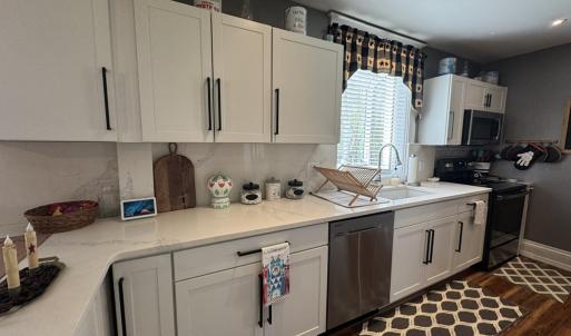 Photo #6 of 1481 ELLIS ST, GREENBACKVILLE, VA 0.6 acres