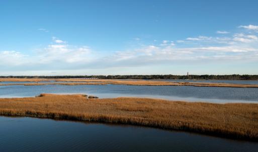 Photo #35 of 7718 EAST SIDE RD, CHINCOTEAGUE, VA
