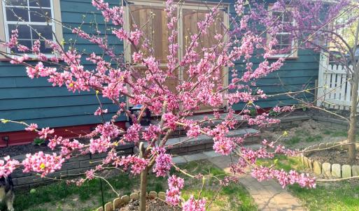 Beautiful Landscaping