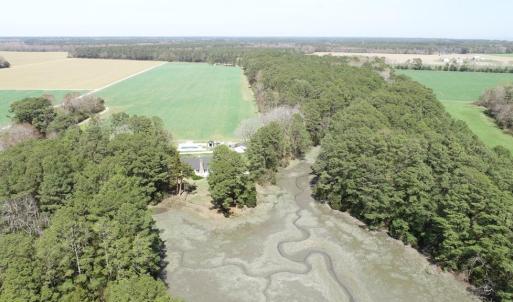 Photo #6 of 24385 DIX FARM DR, ACCOMAC, VA 3.3 acres