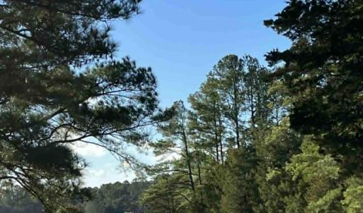 Photo #2 of 24385 DIX FARM DR, ACCOMAC, VA 3.3 acres