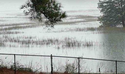 Photo #4 of 24385 DIX FARM DR, ACCOMAC, VA 3.3 acres