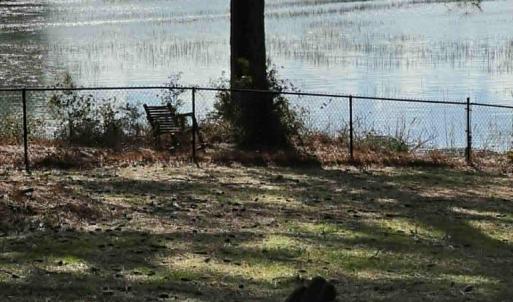 Photo #52 of 24385 DIX FARM DR, ACCOMAC, VA 3.3 acres