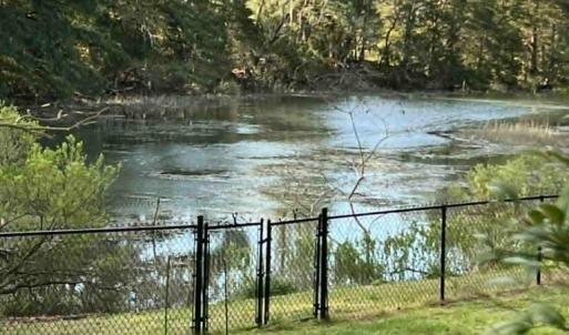 Photo #55 of 24385 DIX FARM DR, ACCOMAC, VA 3.3 acres