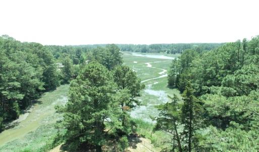 Photo #56 of 24385 DIX FARM DR, ACCOMAC, VA 3.3 acres