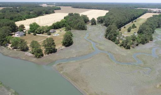 Photo #8 of 24385 DIX FARM DR, ACCOMAC, VA 3.3 acres
