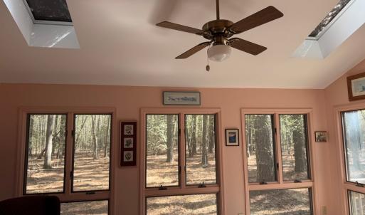 Photo #14 of 8175 DENWOOD RD, FRANKTOWN, VA 9.3 acres