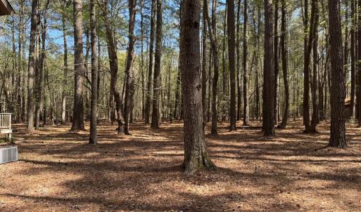 Photo #5 of 8175 DENWOOD RD, FRANKTOWN, VA 9.3 acres