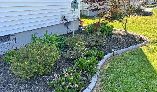Front Landscaping