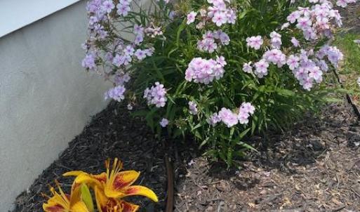 Photo #57 of 16 JOHNSON STREET, ONANCOCK, VA 0.3 acres