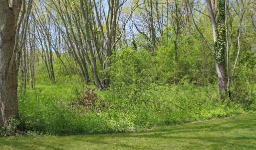 Photo #7 of 22622 LEE MONT RD, PARKSLEY, VA 2.0 acres