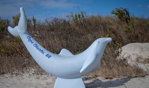 Photo #65 of 119 FIG ST, CAPE CHARLES, VA 0.1 acres