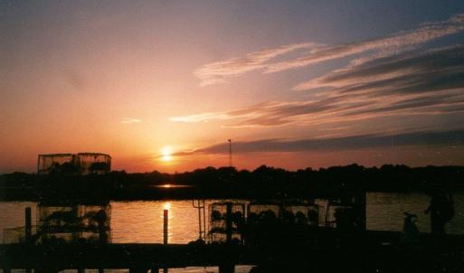 Photo #31 of 16108 ROCK FISH COURT, PAINTER, VA 0.8 acres