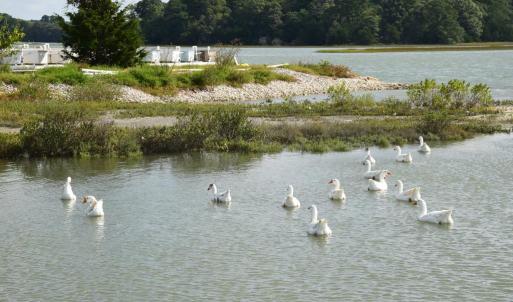 Photo #21 of 16155 ROCK FISH COURT, PAINTER, VA 0.8 acres