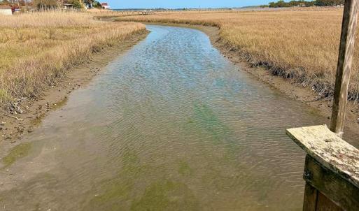 Photo #24 of 6392 TEAL LN, CHINCOTEAGUE, VA 0.0 acres