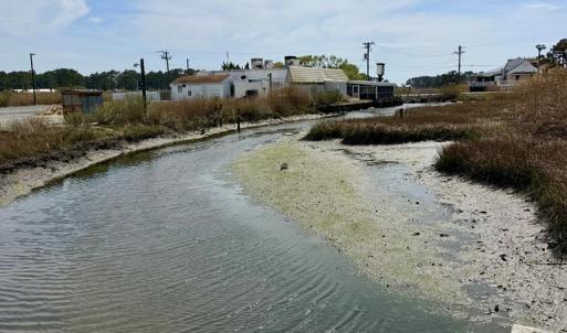 Photo #27 of 6392 TEAL LN, CHINCOTEAGUE, VA 0.0 acres