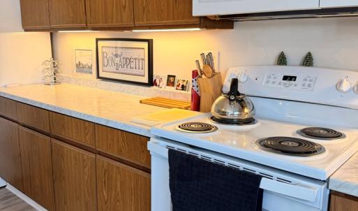 Photo #9 of 6392 TEAL LN, CHINCOTEAGUE, VA 0.0 acres