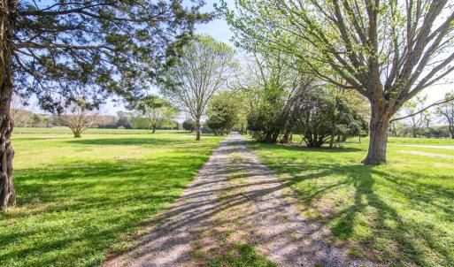 Photo #8 of 16422 WANDERERS PORT LANE, ONANCOCK, VA 1.8 acres