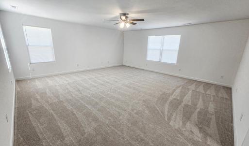 Photo #14 of 5478 JAN HALL RD., EASTVILLE, VA 1.9 acres