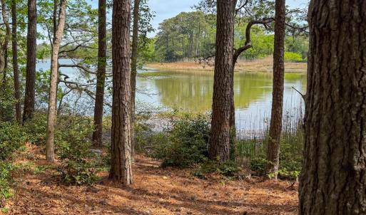 Photo #51 of 14385 HARBOUR LN, EASTVILLE, VA 2.1 acres