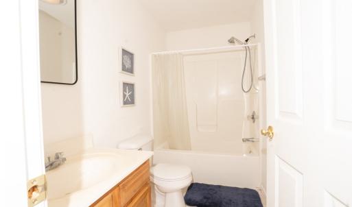 Photo #9 of 3389 CAPTAINS CORRIDOR, GREENBACKVILLE, VA 9,928.0 acres