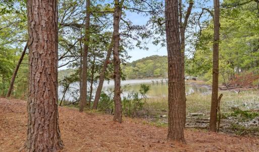 Photo #32 of 12117 TROUT LN, MACHIPONGO, VA 0.8 acres