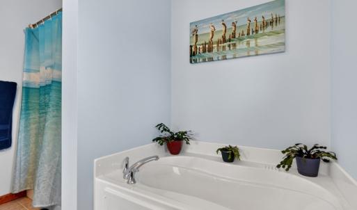 Photo #26 of 3220 RIDGE RD, CHINCOTEAGUE, VA 0.5 acres