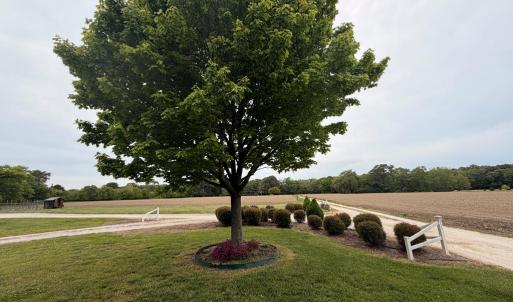 Photo #20 of 34085 DRUMMOND RD, CRADDOCKVILLE, VA 1.3 acres