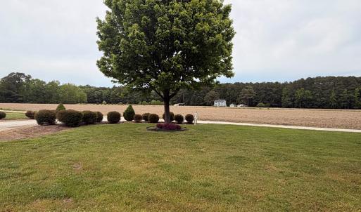 Photo #55 of 34085 DRUMMOND RD, CRADDOCKVILLE, VA 1.3 acres