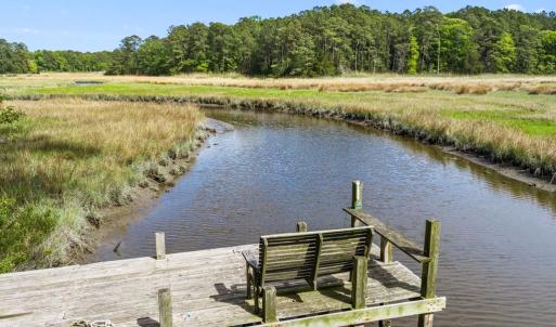 Photo #69 of 6078 HARMANTOWN RD, MACHIPONGO, VA 48.0 acres