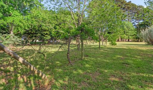 Photo #52 of 6078 HARMANTOWN RD, MACHIPONGO, VA 48.0 acres