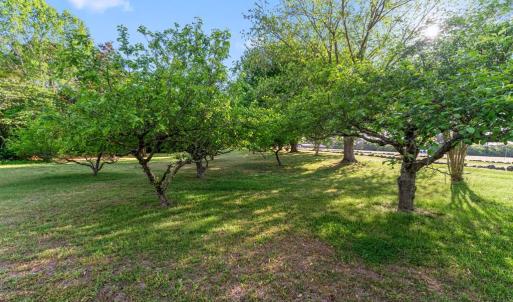 Photo #54 of 6078 HARMANTOWN RD, MACHIPONGO, VA 48.0 acres