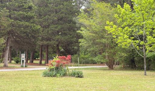 Photo #14 of 24460 FINNEY DR, ONANCOCK, VA 4.3 acres