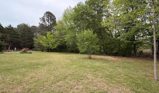 Photo #19 of 24460 FINNEY DR, ONANCOCK, VA 4.3 acres
