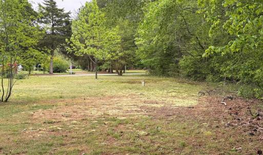 Photo #20 of 24460 FINNEY DR, ONANCOCK, VA 4.3 acres